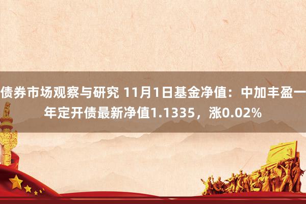 债券市场观察与研究 11月1日基金净值：中加丰盈一年定开债最新净值1.1335，涨0.02%