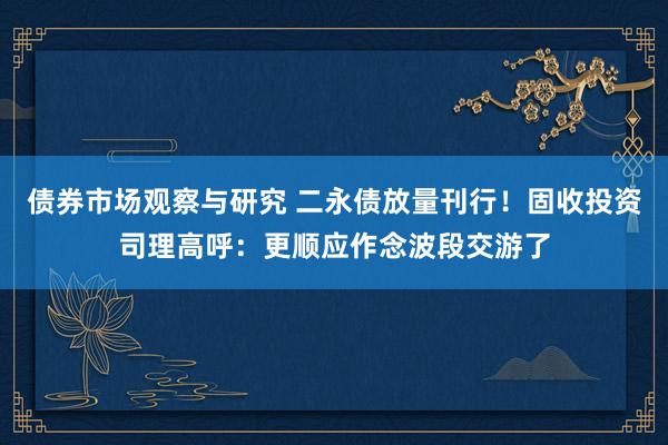 债券市场观察与研究 二永债放量刊行！固收投资司理高呼：更顺应作念波段交游了