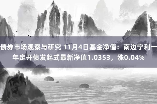 债券市场观察与研究 11月4日基金净值：南边宁利一年定开债发起式最新净值1.0353，涨0.04%