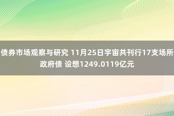 债券市场观察与研究 11月25日宇宙共刊行17支场所政府债 设想1249.0119亿元