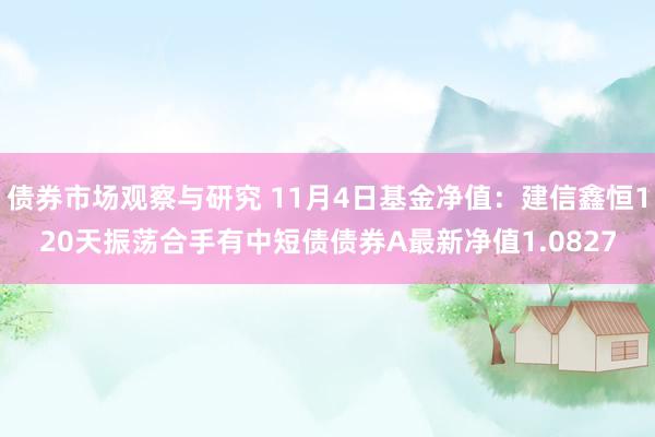 债券市场观察与研究 11月4日基金净值：建信鑫恒120天振荡合手有中短债债券A最新净值1.0827