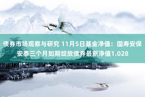 债券市场观察与研究 11月5日基金净值：国寿安保安泰三个月如期绽放债券最新净值1.028