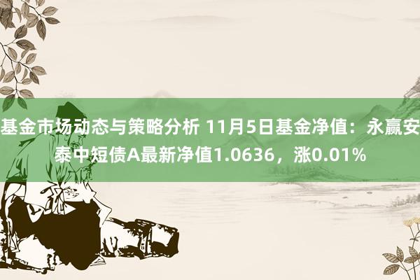 基金市场动态与策略分析 11月5日基金净值：永赢安泰中短债A最新净值1.0636，涨0.01%