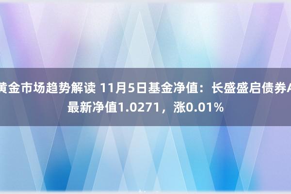 黄金市场趋势解读 11月5日基金净值：长盛盛启债券A最新净值1.0271，涨0.01%