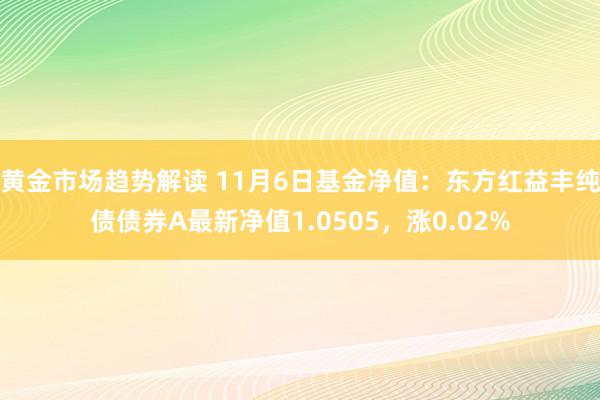 黄金市场趋势解读 11月6日基金净值：东方红益丰纯债债券A最新净值1.0505，涨0.02%