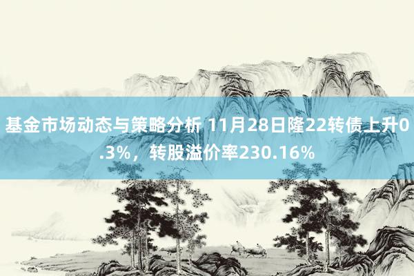 基金市场动态与策略分析 11月28日隆22转债上升0.3%，转股溢价率230.16%