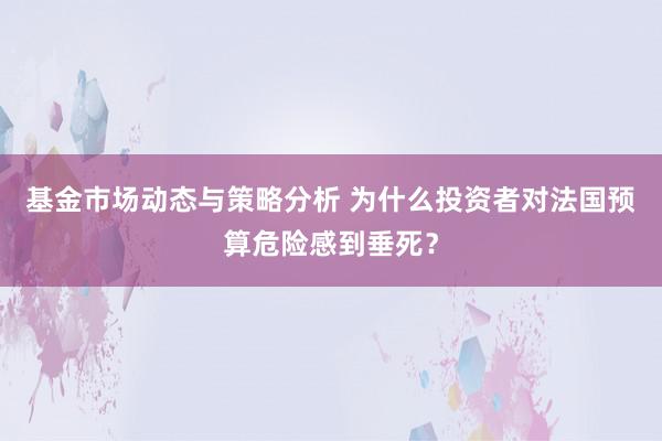 基金市场动态与策略分析 为什么投资者对法国预算危险感到垂死？