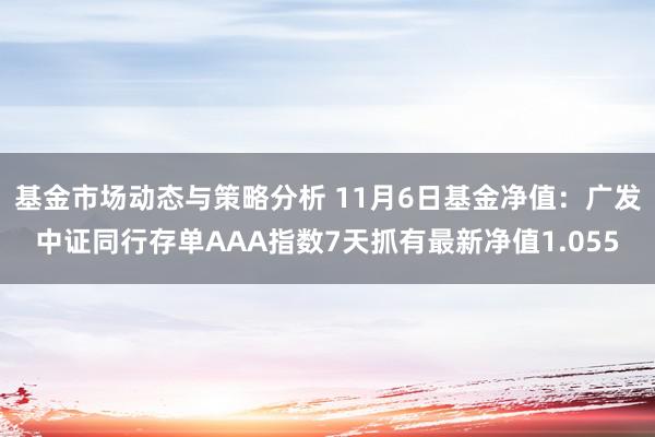 基金市场动态与策略分析 11月6日基金净值：广发中证同行存单AAA指数7天抓有最新净值1.055