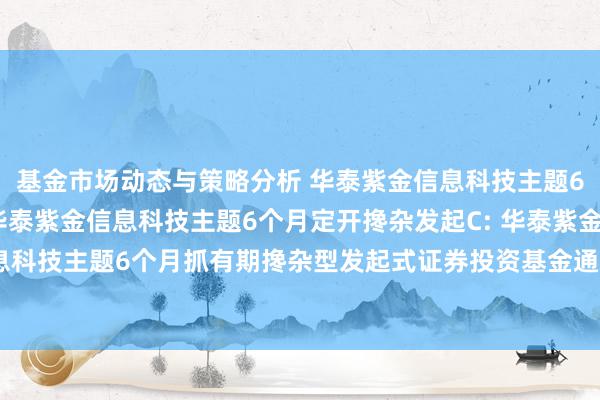 基金市场动态与策略分析 华泰紫金信息科技主题6个月定开搀杂发起A,华泰紫金信息科技主题6个月定开搀杂发起C: 华泰紫金信息科技主题6个月抓有期搀杂型发起式证券投资基金通达日常申购、赎回业务的公告