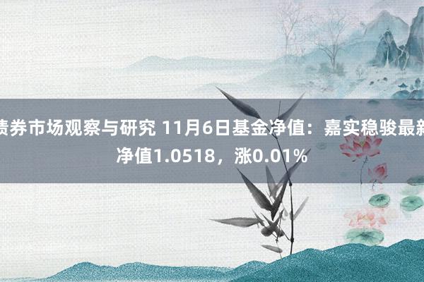 债券市场观察与研究 11月6日基金净值：嘉实稳骏最新净值1.0518，涨0.01%