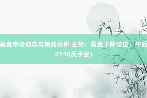 基金市场动态与策略分析 王杨：黄金下降破位，午后2746反手空！