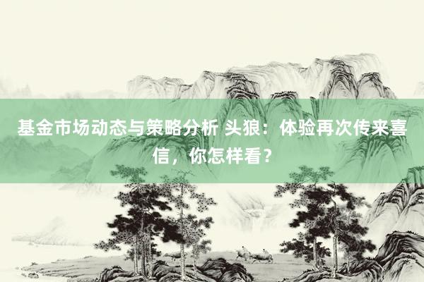 基金市场动态与策略分析 头狼：体验再次传来喜信，你怎样看？