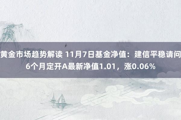 黄金市场趋势解读 11月7日基金净值：建信平稳请问6个月定开A最新净值1.01，涨0.06%