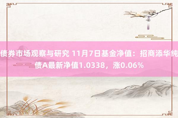 债券市场观察与研究 11月7日基金净值：招商添华纯债A最新净值1.0338，涨0.06%