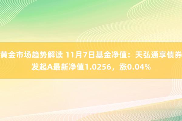 黄金市场趋势解读 11月7日基金净值：天弘通享债券发起A最新净值1.0256，涨0.04%