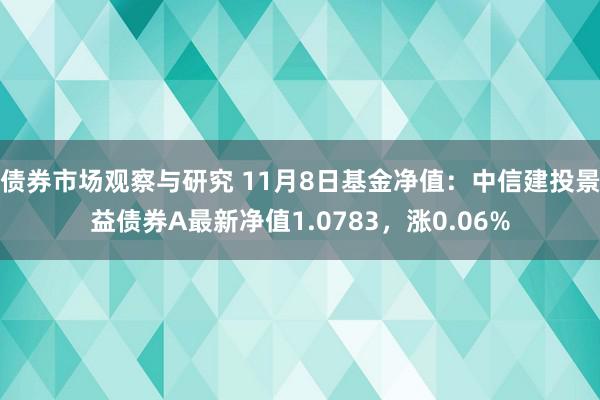 债券市场观察与研究 11月8日基金净值：中信建投景益债券A最新净值1.0783，涨0.06%