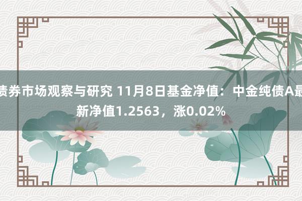 债券市场观察与研究 11月8日基金净值：中金纯债A最新净值1.2563，涨0.02%