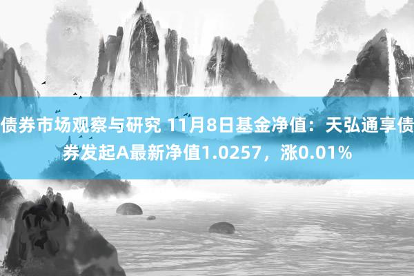 债券市场观察与研究 11月8日基金净值：天弘通享债券发起A最新净值1.0257，涨0.01%