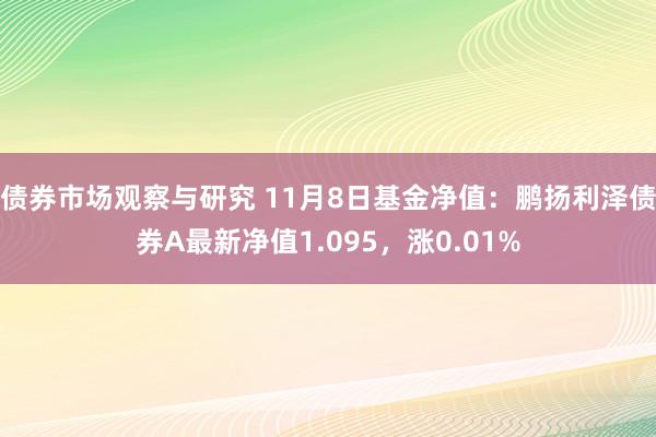 债券市场观察与研究 11月8日基金净值：鹏扬利泽债券A最新净值1.095，涨0.01%