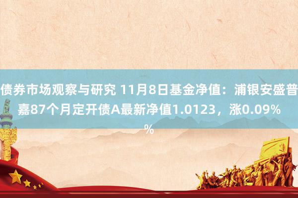 债券市场观察与研究 11月8日基金净值：浦银安盛普嘉87个月定开债A最新净值1.0123，涨0.09%