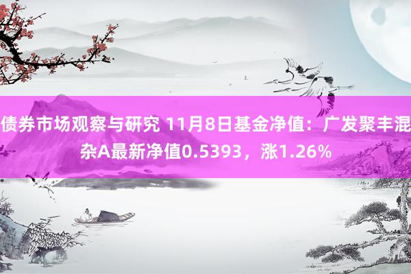 债券市场观察与研究 11月8日基金净值：广发聚丰混杂A最新净值0.5393，涨1.26%