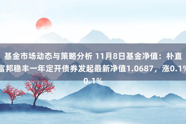 基金市场动态与策略分析 11月8日基金净值：朴直富邦稳丰一年定开债券发起最新净值1.0687，涨0.1%