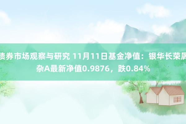 债券市场观察与研究 11月11日基金净值：银华长荣羼杂A最新净值0.9876，跌0.84%