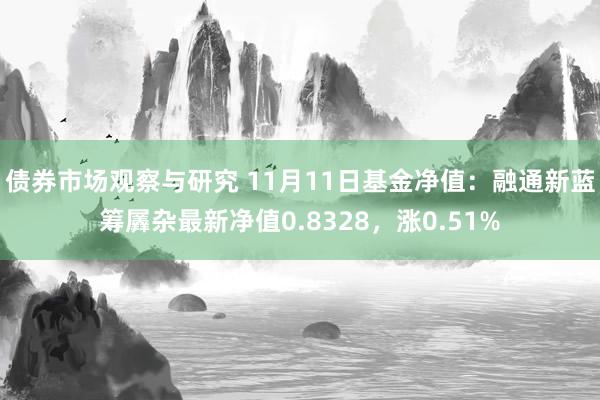 债券市场观察与研究 11月11日基金净值：融通新蓝筹羼杂最新净值0.8328，涨0.51%