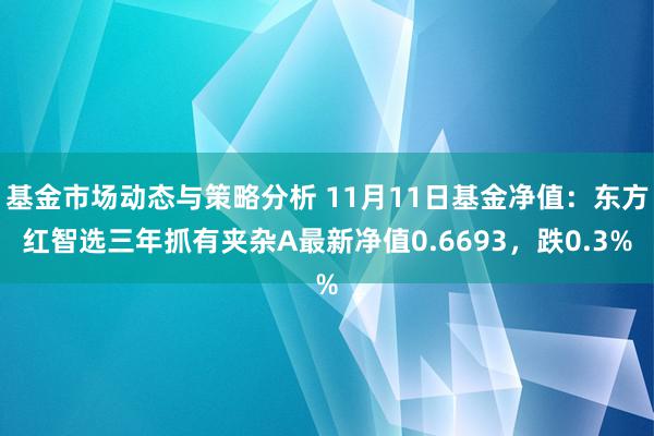 基金市场动态与策略分析 11月11日基金净值：东方红智选三年抓有夹杂A最新净值0.6693，跌0.3%