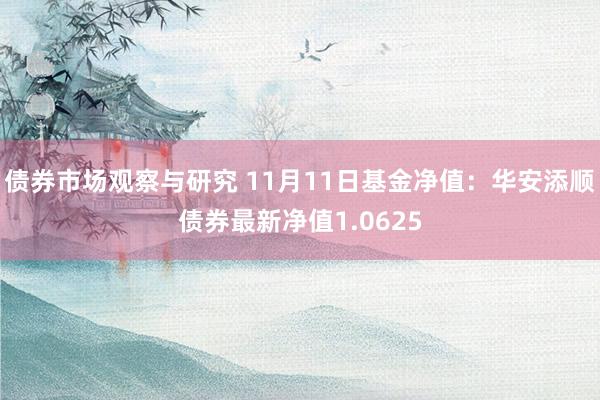 债券市场观察与研究 11月11日基金净值：华安添顺债券最新净值1.0625