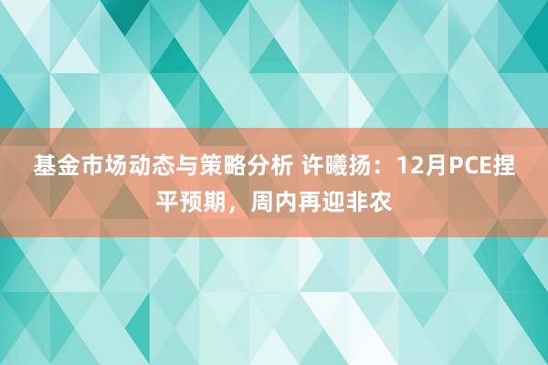 基金市场动态与策略分析 许曦扬：12月PCE捏平预期，周内再迎非农