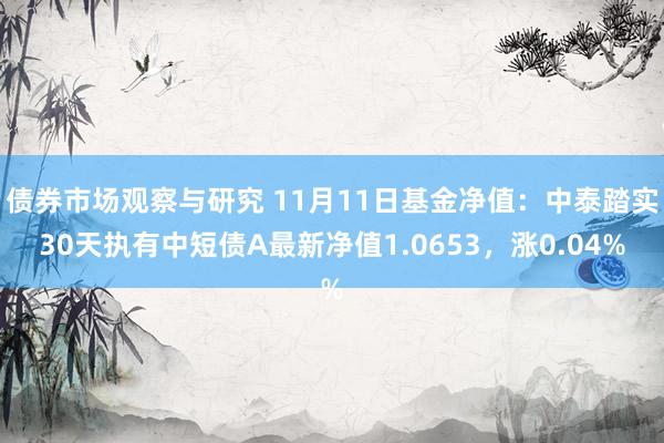 债券市场观察与研究 11月11日基金净值：中泰踏实30天执有中短债A最新净值1.0653，涨0.04%