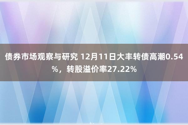 债券市场观察与研究 12月11日大丰转债高潮0.54%，转股溢价率27.22%