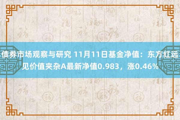 债券市场观察与研究 11月11日基金净值：东方红远见价值夹杂A最新净值0.983，涨0.46%