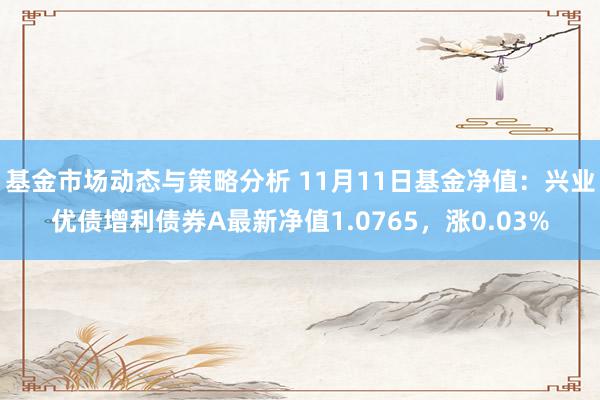 基金市场动态与策略分析 11月11日基金净值：兴业优债增利债券A最新净值1.0765，涨0.03%