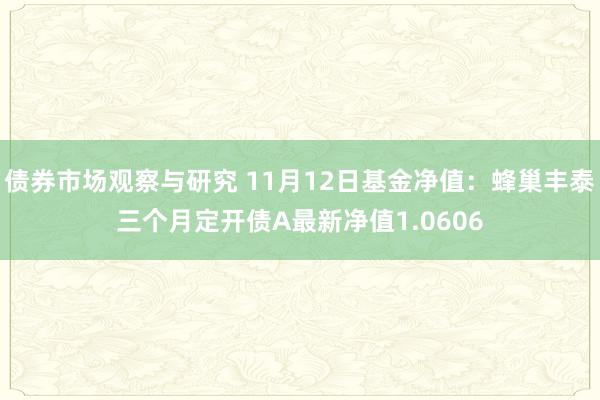 债券市场观察与研究 11月12日基金净值：蜂巢丰泰三个月定开债A最新净值1.0606