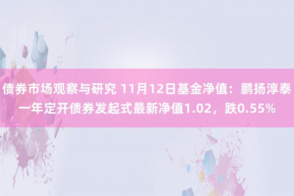 债券市场观察与研究 11月12日基金净值：鹏扬淳泰一年定开债券发起式最新净值1.02，跌0.55%