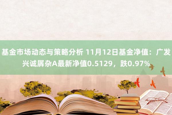 基金市场动态与策略分析 11月12日基金净值：广发兴诚羼杂A最新净值0.5129，跌0.97%