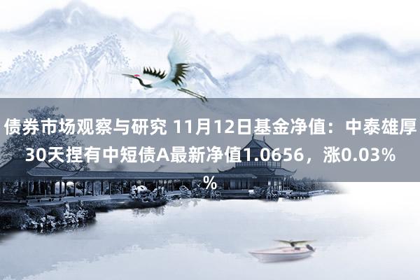 债券市场观察与研究 11月12日基金净值：中泰雄厚30天捏有中短债A最新净值1.0656，涨0.03%