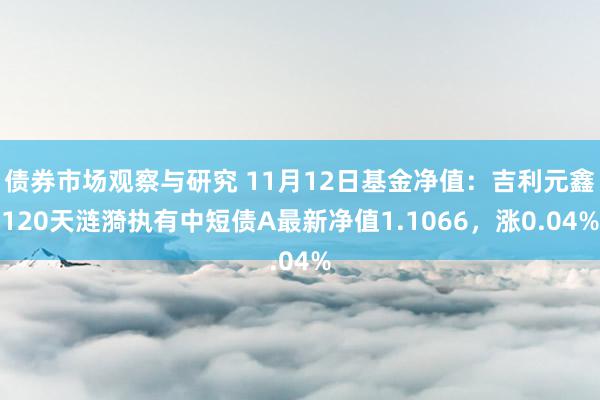 债券市场观察与研究 11月12日基金净值：吉利元鑫120天涟漪执有中短债A最新净值1.1066，涨0.04%