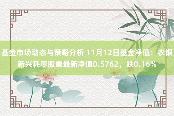 基金市场动态与策略分析 11月12日基金净值：农银新兴耗尽股票最新净值0.5762，跌0.16%