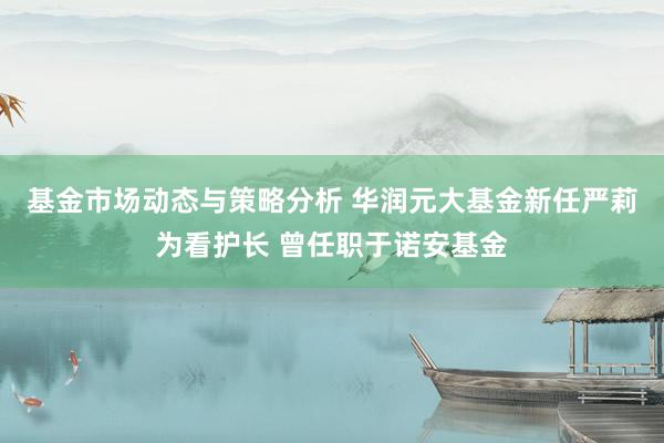 基金市场动态与策略分析 华润元大基金新任严莉为看护长 曾任职于诺安基金