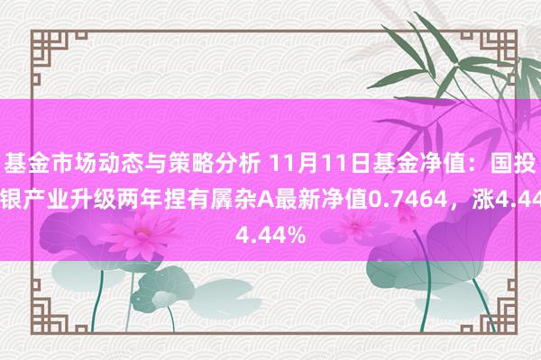 基金市场动态与策略分析 11月11日基金净值：国投瑞银产业升级两年捏有羼杂A最新净值0.7464，涨4.44%