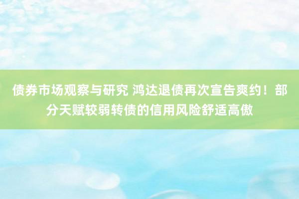 债券市场观察与研究 鸿达退债再次宣告爽约！部分天赋较弱转债的信用风险舒适高傲