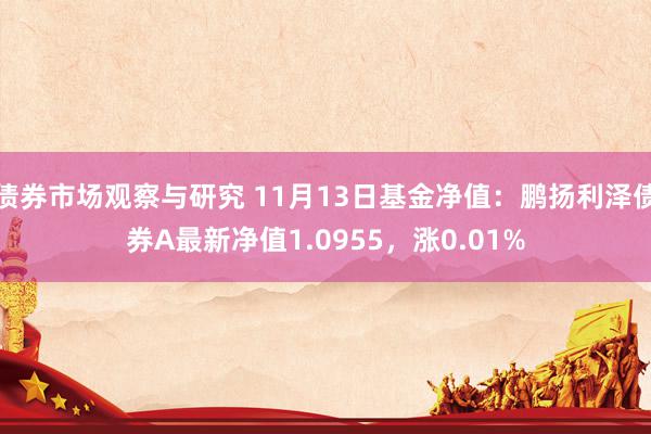 债券市场观察与研究 11月13日基金净值：鹏扬利泽债券A最新净值1.0955，涨0.01%