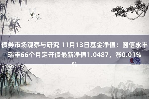 债券市场观察与研究 11月13日基金净值：圆信永丰瑞丰66个月定开债最新净值1.0487，涨0.01%