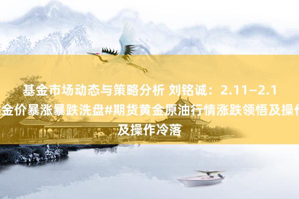 基金市场动态与策略分析 刘铭诚：2.11—2.12外洋金价暴涨暴跌洗盘#期货黄金原油行情涨跌领悟及操作冷落