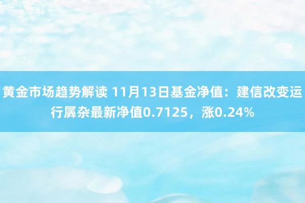 黄金市场趋势解读 11月13日基金净值：建信改变运行羼杂最新净值0.7125，涨0.24%