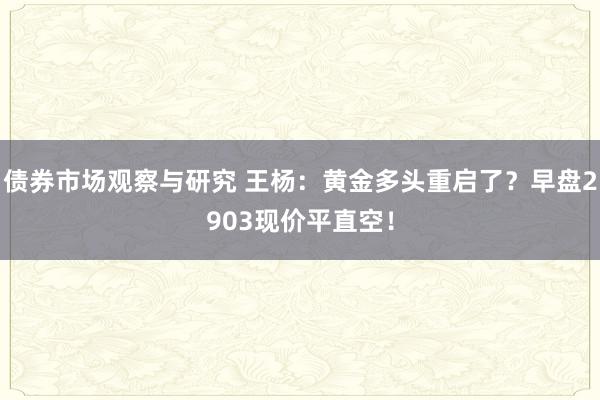 债券市场观察与研究 王杨：黄金多头重启了？早盘2903现价平直空！