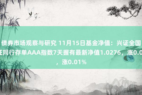 债券市场观察与研究 11月15日基金净值：兴证全国中证同行存单AAA指数7天握有最新净值1.0276，涨0.01%